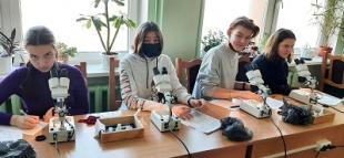 Мастер-класс «Формулы и диаграммы цветка» в БГПУ