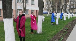 Студенческий актив БГПУ присоединился  к столичной  акции по благоустройству
