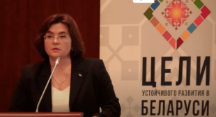 Опыт БГПУ представлен на заседании Совета по устойчивому развитию