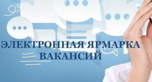 Приглашаем студентов БГПУ принять участие в электронной ярмарке вакансий!