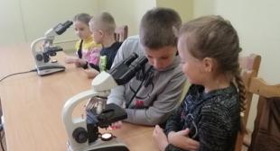 Профориентационная работа: в гостях ГУО «Средняя школа №203 г. Минска»