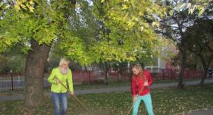 Студенческий актив БГПУ принял участие в месячнике  по уборке, благоустройству и озеленению территорий 