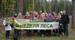 Студенты БГПУ приняли участие в республиканской акции «Неделя леса»