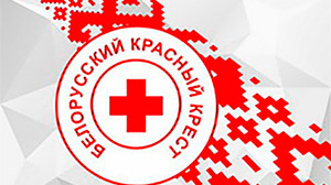 Студенты и преподаватели БГПУ приняли участие в благотворительной акции