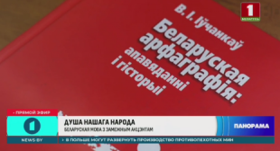 Телеканал 