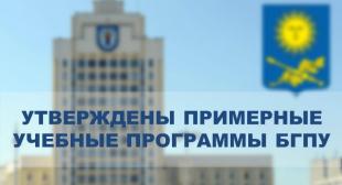 Утверждены примерные учебные программы по учебным дисциплинам