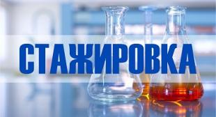 В БГПУ проходит стажировка казахских докторантов на факультете естествознания 