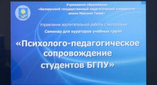 В БГПУ прошел семинар для кураторов учебных групп