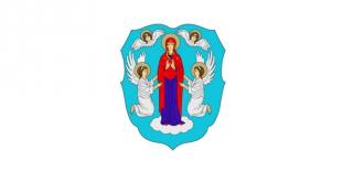 Волонтерский проект БГПУ 