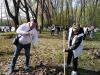 Галлерея