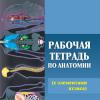Галлерея