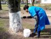 Галлерея