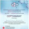 Галлерея