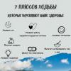 Галлерея